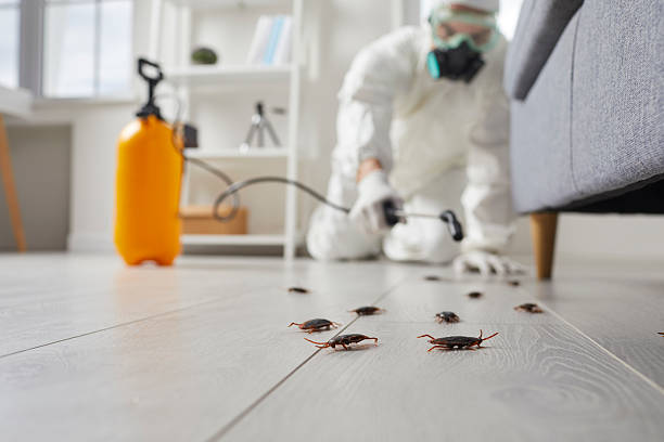 Commercial Kitchen Cockroach Control in Montegut