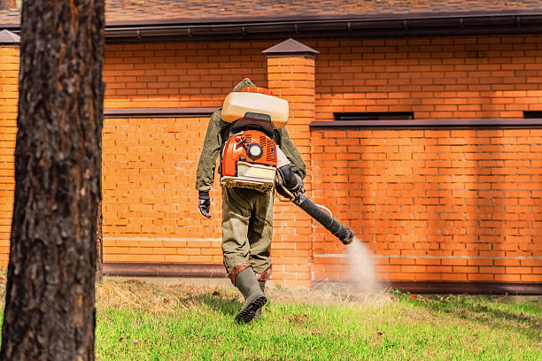 Cockroach Follow-Up and Monitoring in Montegut
